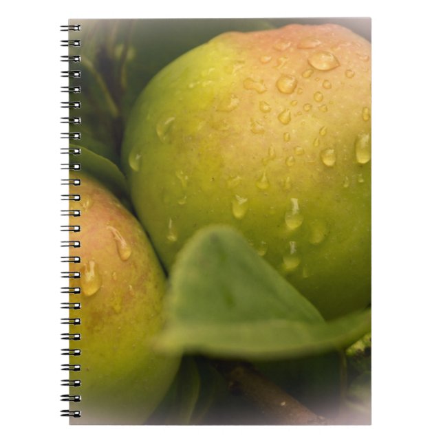 Fresh Green Apples with Raindrops Notebook (Front)