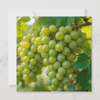 Fresh Green Grape Holiday Card