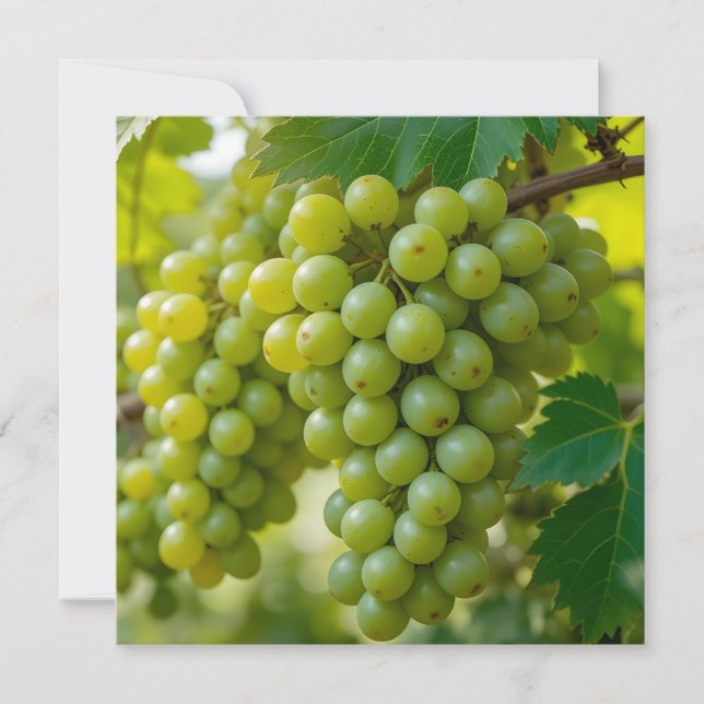 Fresh Green Grape Invitation (Front)