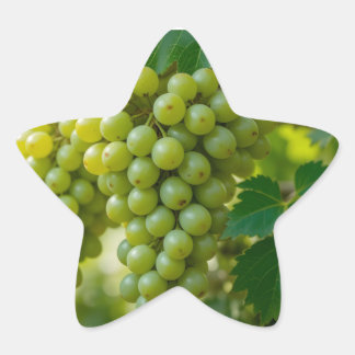 Fresh Green Grape Star Sticker