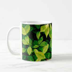 fresh green leaves look beautiful and very natural coffee mug