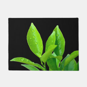 Fresh Green Leaves with Waterdrops on Black Doormat