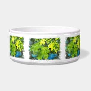 Fresh green maple leaves