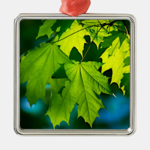 Fresh green maple leaves metal ornament