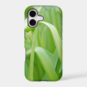 Fresh Green Plant Leaves