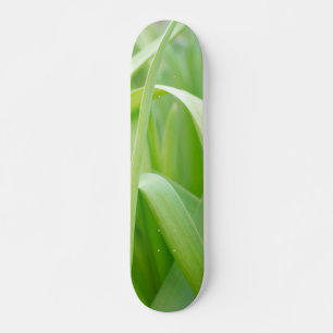 Fresh Green Plant Leaves Skateboard