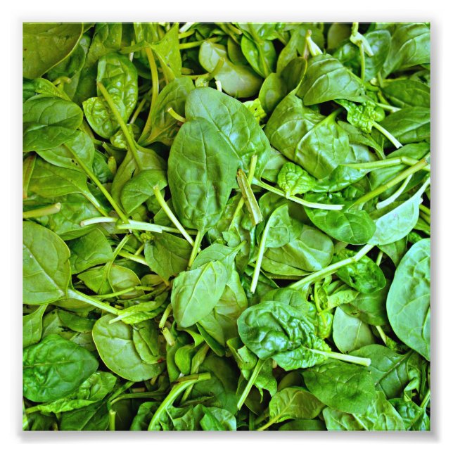 Fresh green spinach salad pattern photo print (Front)