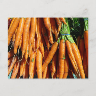Fresh Harvest Orange Carrots Farm To Table Veg Postcard