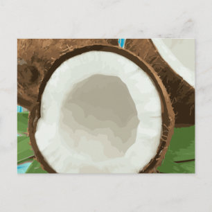 Fresh Hawaiian Coconuts Postcard