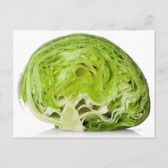 Fresh iceberg lettuce cut in half, on white postcard (Front)