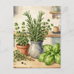 Fresh Kitchen Herbs Watercolor  Postcard