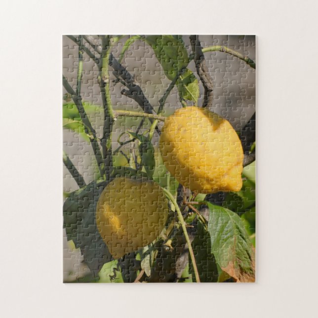 Fresh Lemons on a Tree Jigsaw Puzzle (Vertical)