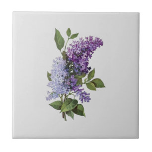 Fresh Lilacs on grey - French Country Home Decor Ceramic Tile