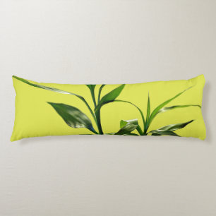 Fresh lucky bamboo green leaves in green body cushion