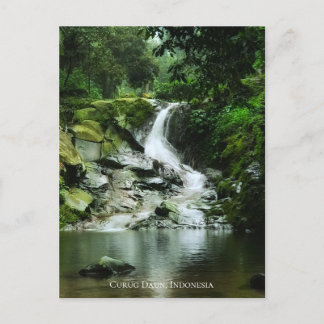 Fresh Lush Green Natural Waterfall Postcard