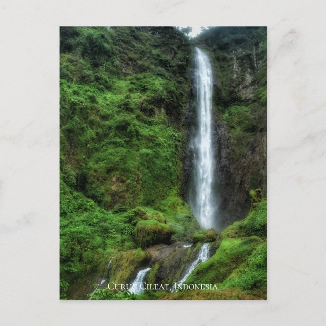 Fresh Lush Green Natural Waterfall Postcard (Front)
