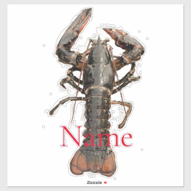 Fresh Maine Lobster Thunder_Cove (Sheet)