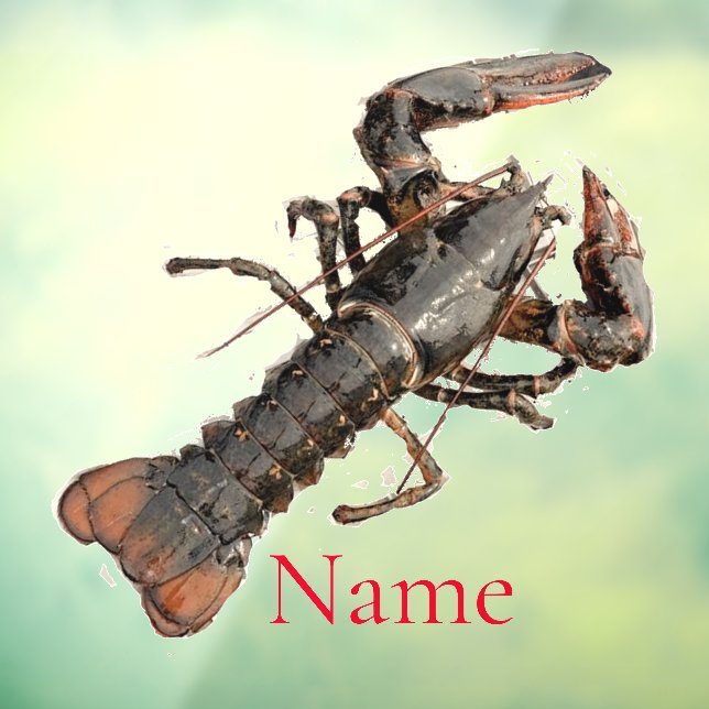 Fresh Maine Lobster Thunder_Cove  (Sheet 3)