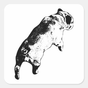 Fresh Motion Square Sticker