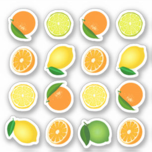 Fresh Orange and Lemon Stickers