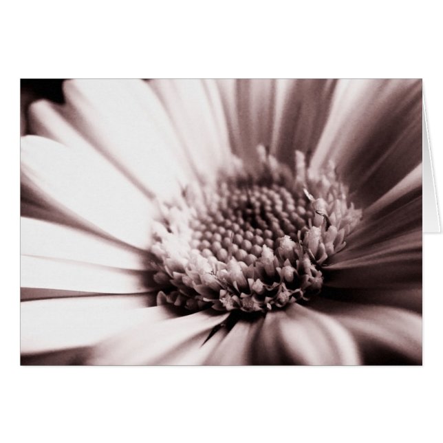 Fresh Orange (mono) Card (Front Horizontal)