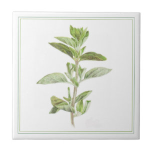 FRESH OREGANO 4.25x4.25 Ceramic Tile (-text)