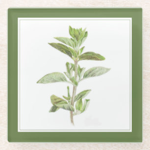 FRESH OREGANO Glass Beverage Coaster (-text) Green