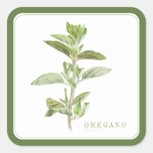 FRESH OREGANO Large Square Stickers (+text) Green