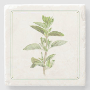 FRESH OREGANO Marble Stone Coaster (-text)