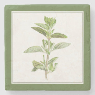 FRESH OREGANO Marble Stone Coaster (-text) Green