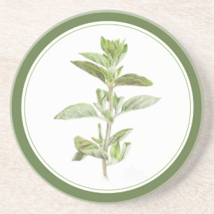 FRESH OREGANO Round Sandstone Coaster -text Green