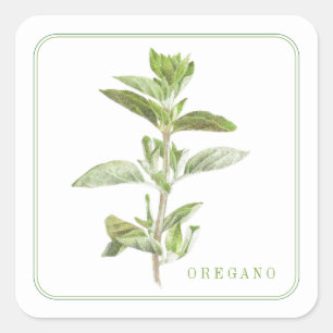 FRESH OREGANO Small Square Stickers