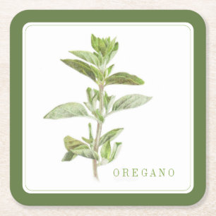 FRESH OREGANO Square Paper Coasters (+text) Green