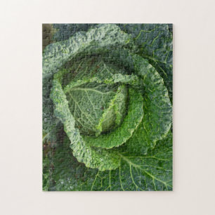 Fresh Organic Cabbage Head Jigsaw Puzzle