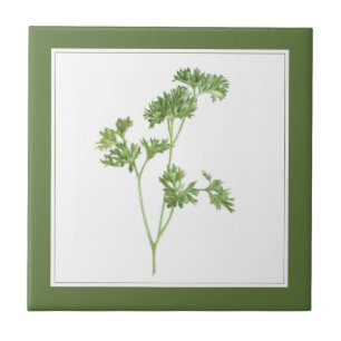 FRESH PARSLEY 4.25x4.25 Ceramic Tile (-text) Green
