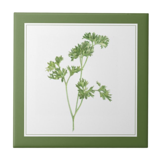 FRESH PARSLEY 4.25x4.25 Ceramic Tile (-text) Green (Front)