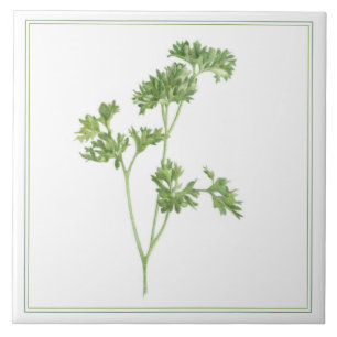 FRESH PARSLEY 6x6 Ceramic Tile (-text)