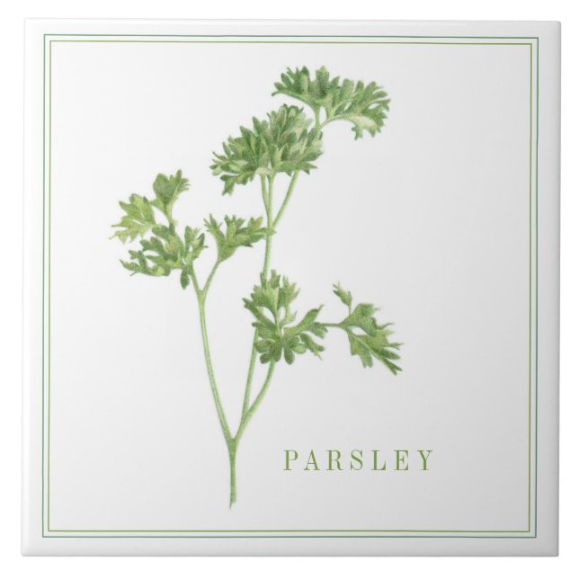 FRESH PARSLEY 6x6 Ceramic Tile (+text) (Front)