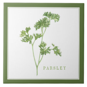 FRESH PARSLEY 6x6 Ceramic Tile (+text) Green