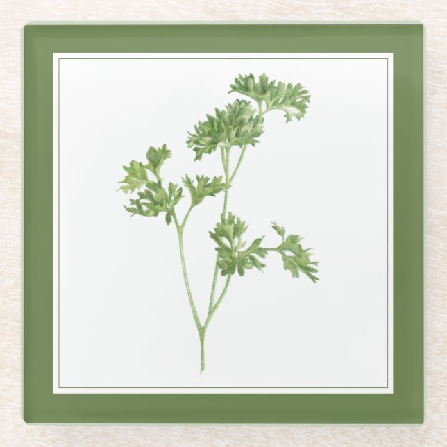 FRESH PARSLEY Glass Beverage Coaster (-text) Green (Front)