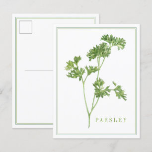 FRESH PARSLEY Postcard