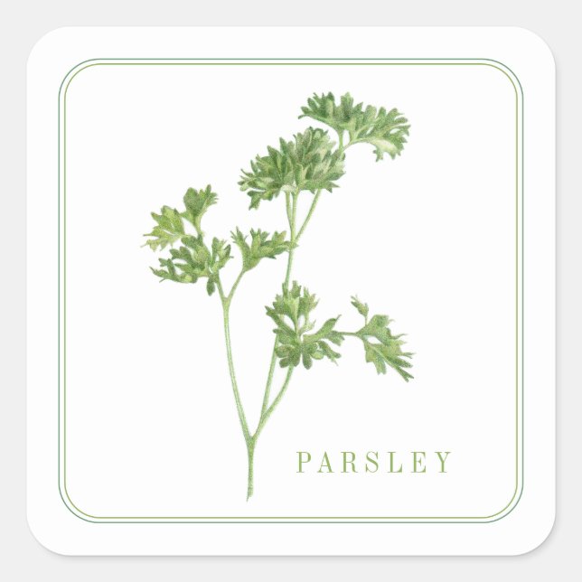 FRESH PARSLEY Small Square Stickers (Front)