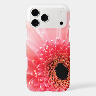 Fresh Pink Gerbera Daisy Photograph