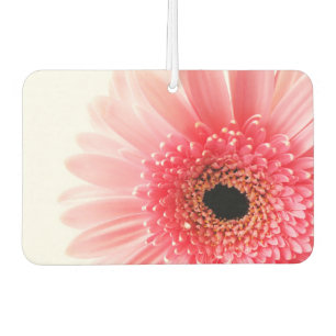 Fresh Pink Gerbera Daisy Photograph Car Air Freshener
