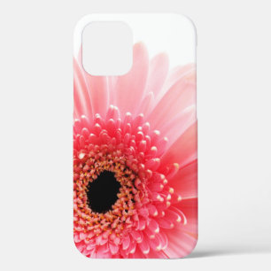 Fresh Pink Gerbera Daisy Photograph iPhone 12 Case