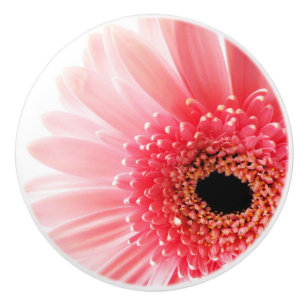Fresh Pink Gerbera Daisy Photograph Ceramic Knob