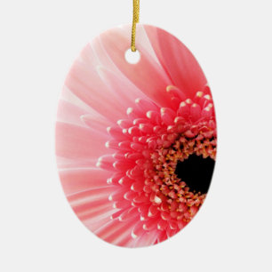 Fresh Pink Gerbera Daisy Photograph Ceramic Ornament