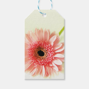 Fresh Pink Gerbera Daisy Photograph Gift Tags
