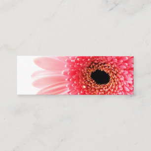 Fresh Pink Gerbera Daisy Photograph Loyalty Card