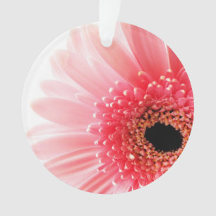 Fresh Pink Gerbera Daisy Photograph Ornament